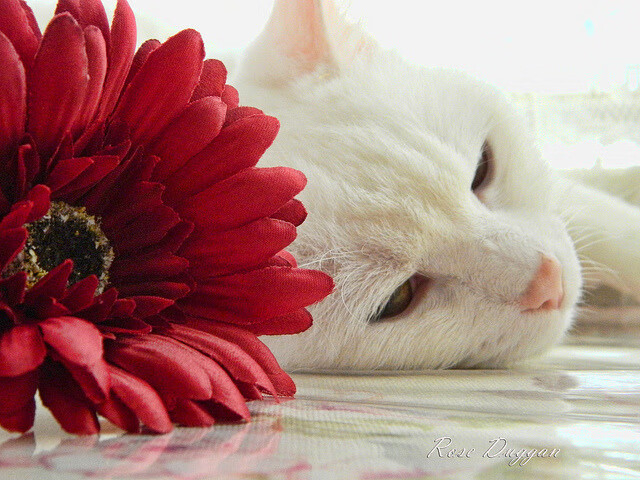 “青年球员表现出色,未来无限可能”,青年队是哪个球队