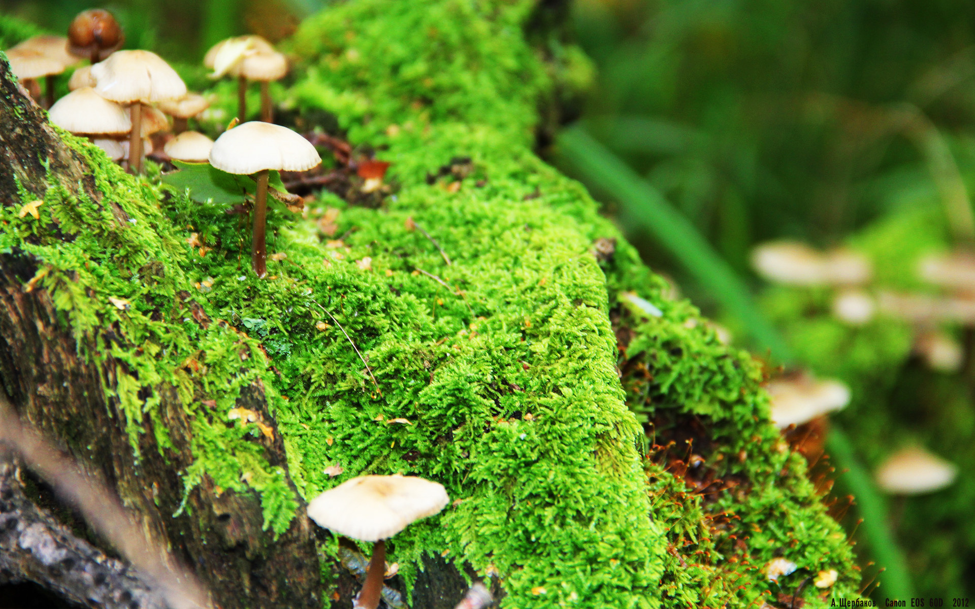 爱游戏体育在线-中国篮球裁判执法水平持续提升，最新中国篮球裁判规则